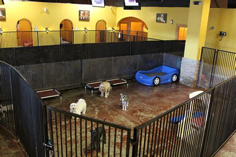 lv pet resort